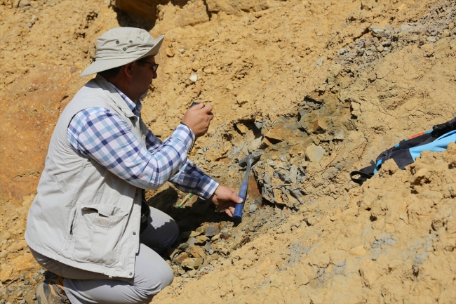 Türkiye'de ilk kez 'doğal kehribar' tespit edilen saha inceleniyor
